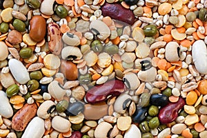 Legumes