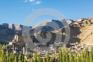 Leh Palace, Ladakh, India