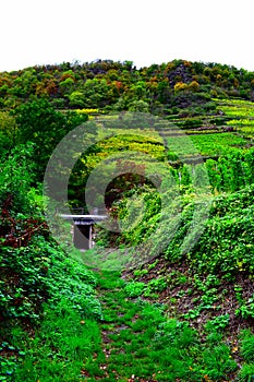 Lehmen, Germany - 10 07 2020: Tunnel under the railroad line to reach the vineyards photo
