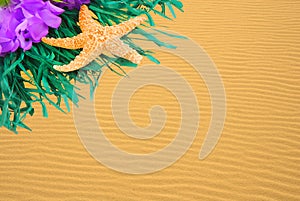 Lei on Golden Sand Ripples