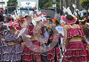 Leicester Caribbean Carnival, UK 2010