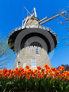 Leiden windmill