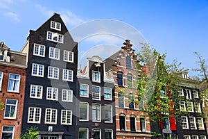 Leidsegracht in Amsterdam city photo