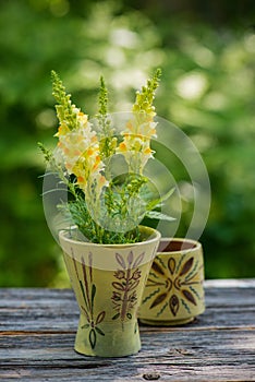 Little wild flower bouquet in a vase