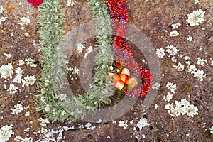 Leis on Hawaiian Birthing Stones photo