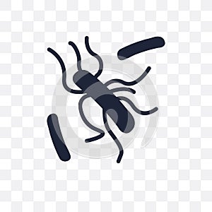 Leishmaniasis transparent icon. Leishmaniasis symbol design from