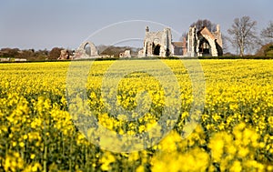 Leiston Abbey Suffolk