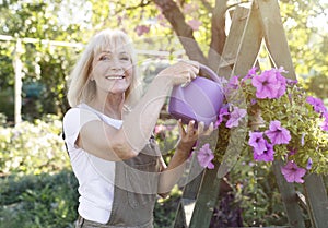 Leisure, lifestyle concept. Happy mature woman watering petunia flowers in pots, gardening in her own summer garden