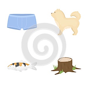 Leisure, textiles, hobbies and other web icon in cartoon style.stump, grass, wood, icons in set collection.