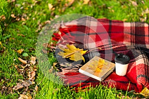 Leisure with a warm blanket and a cup of coffee in an autumn park. Autumn mood and state of mind