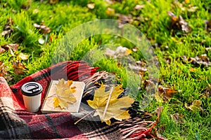 Leisure with a warm blanket and a cup of coffee in an autumn park. Autumn mood and state of mind