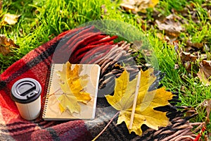 Leisure with a warm blanket and a cup of coffee in an autumn park. Autumn mood and state of mind