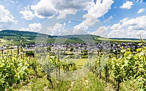 Leiwen at the Moselle Rhineland-Palatinate Germany