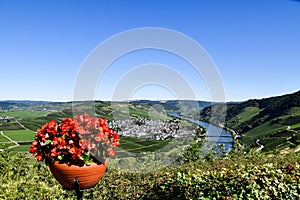 Leiwen village on the Moselle