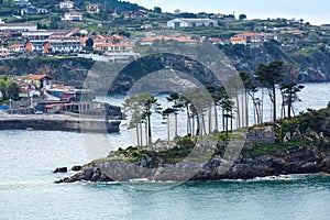 Lekeitio town coastline, Biscay, Spain. photo