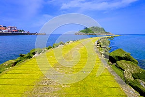 Lekeitio village with San Nicolas island and pier with moss