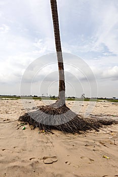 Lekki Beach in Lagos