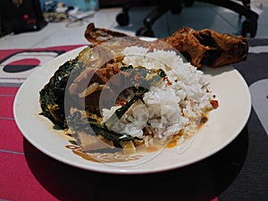 lele food Indonesia rice padang