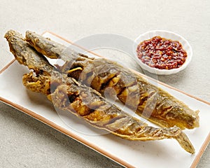Lele Goreng, Fried Catfish is Indonesian traditional culinary food.