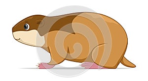 Lemming standing on a white background