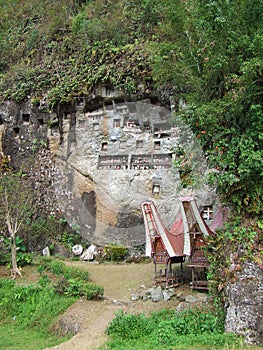Lemo burial site in Tana Toraja on Sulawesi
