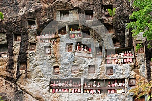 Lemo is cliffs burial site in Tana Toraja, South Sulawesi, Indonesia