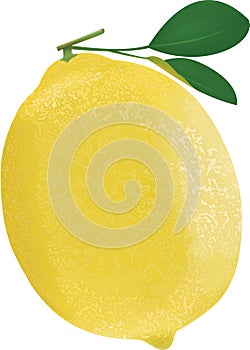 Lemon