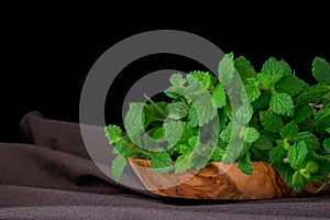 Lemon Balm (herb) tied in a bunch on white backgriound photo