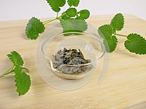 Lemon balm, Melissa folium