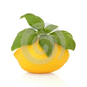 Lemon and Basil