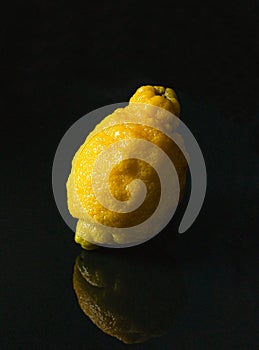 The lemon on black background. Light from one side.