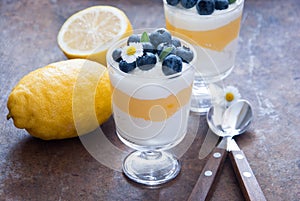 Lemon Blueberry dessert