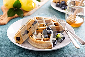 Lemon blueberry waffles with berries