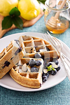 Lemon blueberry waffles with berries