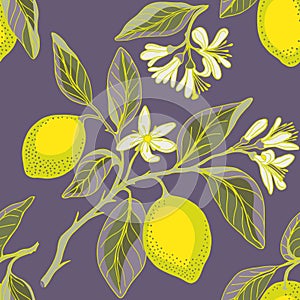 Lemon branches seamless pattern