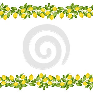 Lemon Brunches Seamless Border