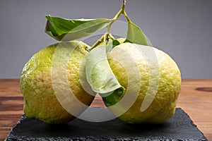 Lemon citron cedrate or Citrus medica, large fragrant citrus fruit with thick rind