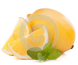 Lemon or citron citrus fruit