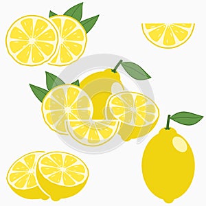 Lemon. Citrus fruit with leaf - whole, half, slice. Vector.