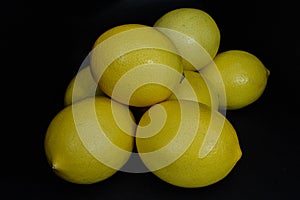 Lemon Citrus limon