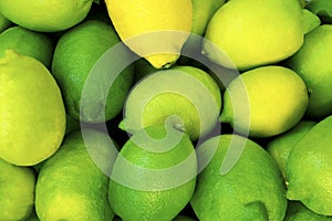 Lemon close up. lemon harvest. many yellow and green lemons.