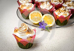 Lemon Cupcakes with a Toasted Meringue Swirl