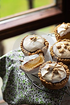 Lemon curd tartlets with whipped meringue on a wire rack
