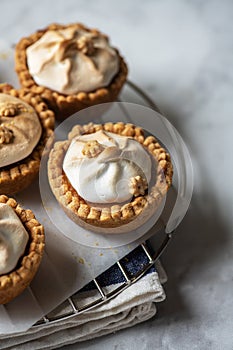 Lemon curd tartlets with whipped meringue on a wire rack. Close up