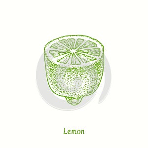 Lemon cut half fruit. Ink doodle drawing