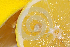 Lemon detail.