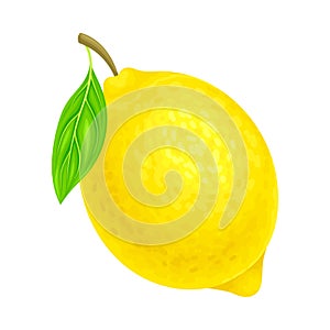 Lemon Ellipsoidal Yellow Fruit with Sour Taste Vector Illustration