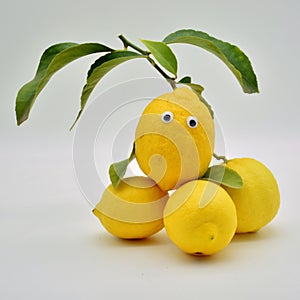 Lemon with eyes photo