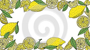 Lemon frame hand drawn. Yellow whole lemons and slices and quarter and green leaves of lemon tree. Vector illustration