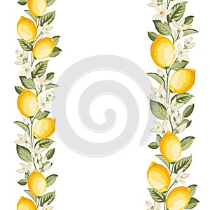 Lemon frame illustration. hand-drawn citrus.